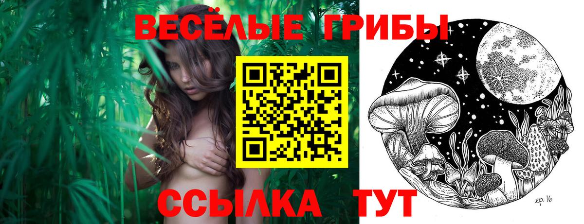 Галлюциногенные грибы Psilocybe Лянтор
